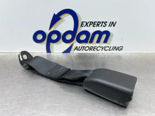 Veiligheidsgordel Insteek midden-achter-8292424