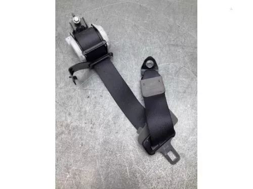 Veiligheidsgordel links-achter-7924412