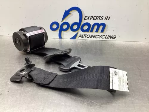 Veiligheidsgordel links-achter-6109423