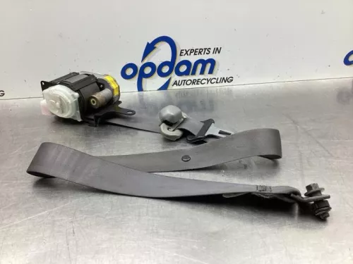 Veiligheidsgordel links-voor-8047818