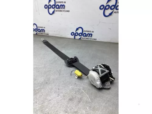 Veiligheidsgordel rechts-voor-8101067