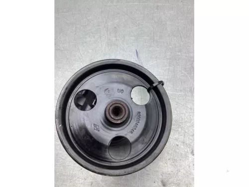 Stuurbekrachtiging Pomp-8327947