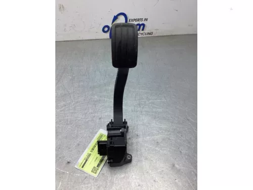 Gaspedaalpositie Sensor-8034154