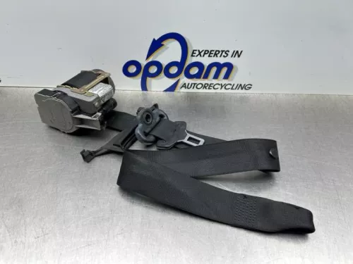 Veiligheidsgordel links-voor-8316969