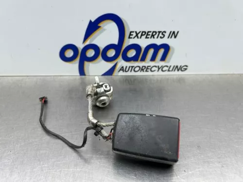 Veiligheidsgordel Insteek links-achter-8176358