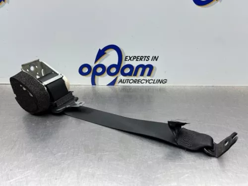 Veiligheidsgordel links-achter-8341448