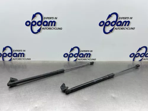 Set Gasdempers Achterklep-8081996