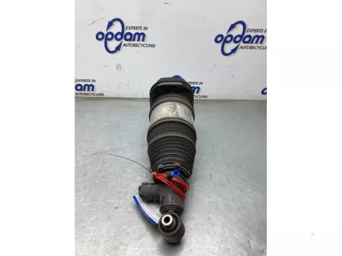 Schokdemperpoot links-achter-8315109