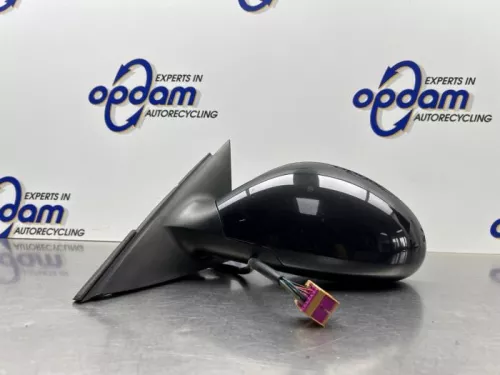 Buitenspiegel links-8334252