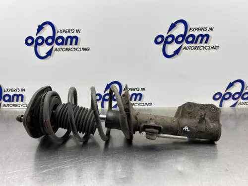 Schokdemperpoot rechts-voor-8340779