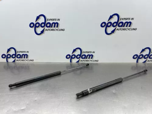 Set Gasdempers Achterklep-8330369