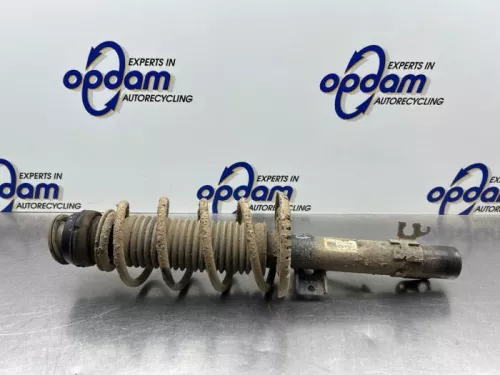 Schokdemperpoot rechts-voor-8049452