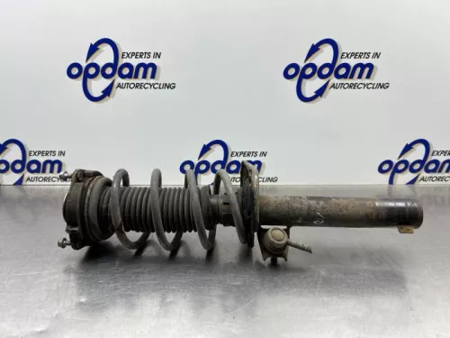 Schokdemperpoot rechts-voor-8075768