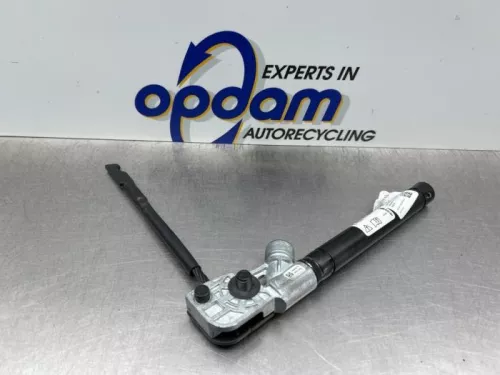 Gordelspanner links-