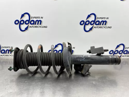 Schokdemperpoot rechts-voor-8081996