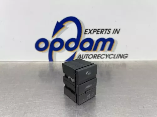 Cruise Control Bediening-8210764