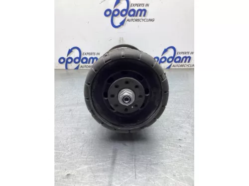 Schokdemperpoot links-voor-8317697