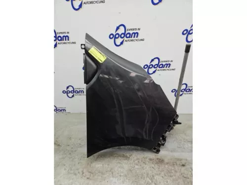 Scherm rechts-voor-8317697