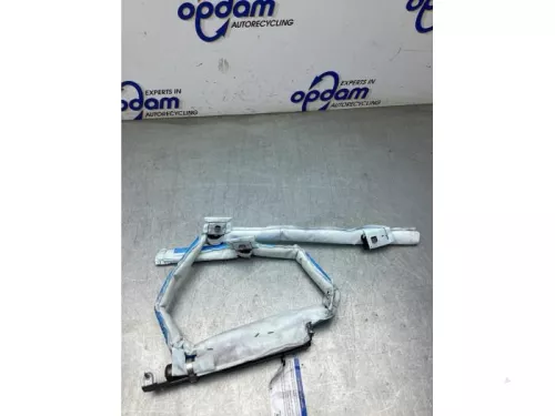 Airbag hemel links-8284623