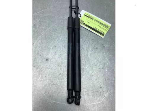 Gasdemperset Kofferdeksel-8313484