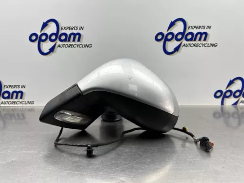 Buitenspiegel links-8331826