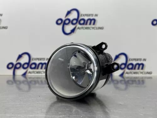 Mistlamp links-voor-