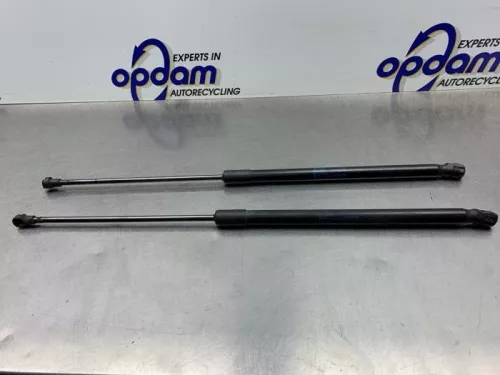 Set Gasdempers Achterklep-8338515