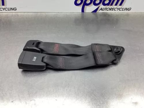 Veiligheidsgordel Insteek links-achter-8341987