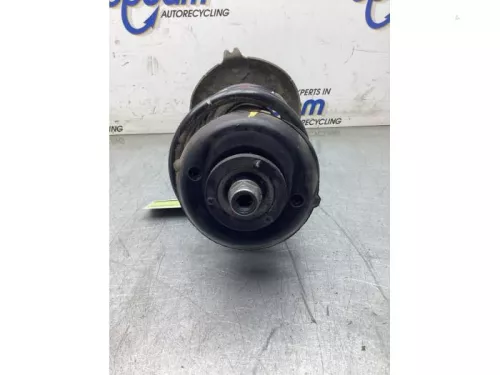 Schokdemperpoot rechts-voor-8219172