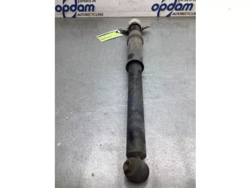 Schokdemperpoot links-achter-8219172