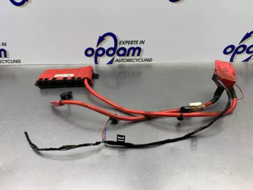Accu sensor-8169282 (21593562)
