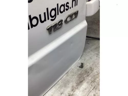Achterdeur Bus-Bestelauto-8218418 (21108820)