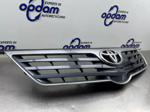Grille-8319886 Grille-8319886