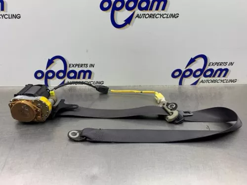 Veiligheidsgordel links-voor-8350808