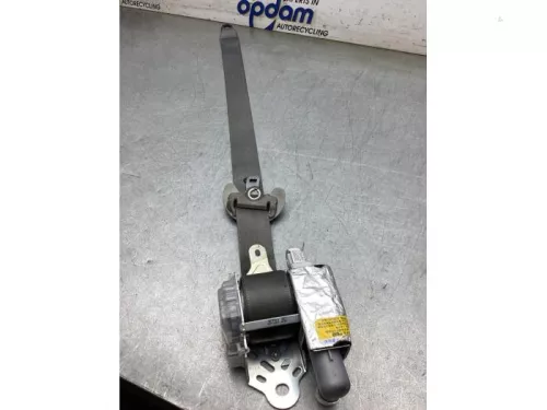 Veiligheidsgordel links-voor-7889681