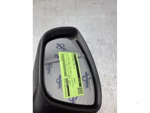 Buitenspiegel links-8242967