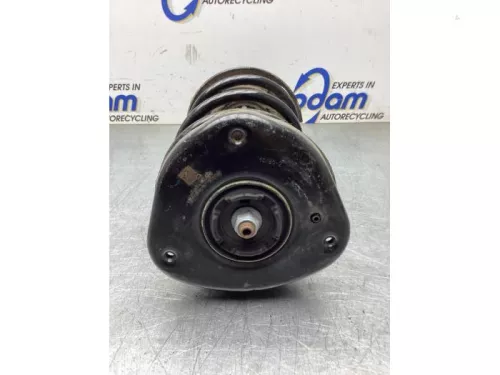 Schokdemperpoot links-voor-8320420