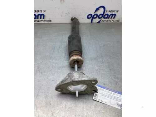 Schokdemper links-achter-8162259