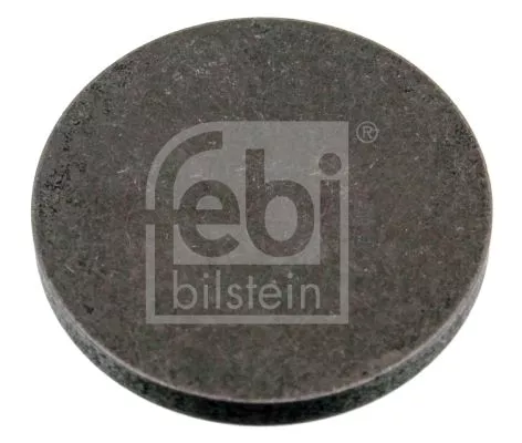 klepstelschijf