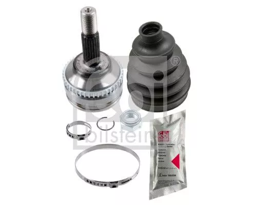 Homokineetset