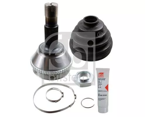 Homokineetset