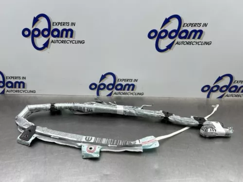 Airbag hemel links-8246769 (22152678)
