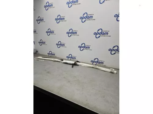 Airbag hemel links-8079170 (21826099)