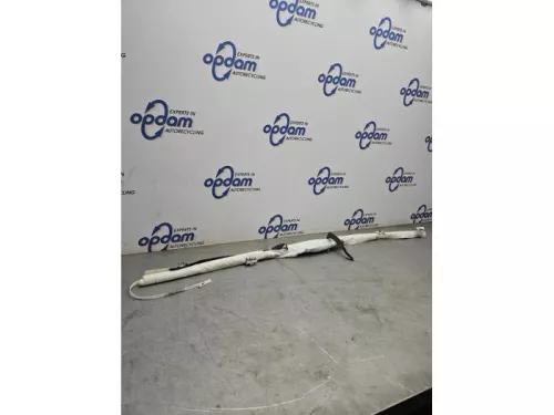 Airbag hemel links-8079170 (21826099)