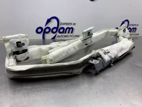 Airbag hemel links-8255120 (21874015)