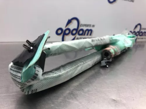 Airbag hemel links-8101100 (21114721)