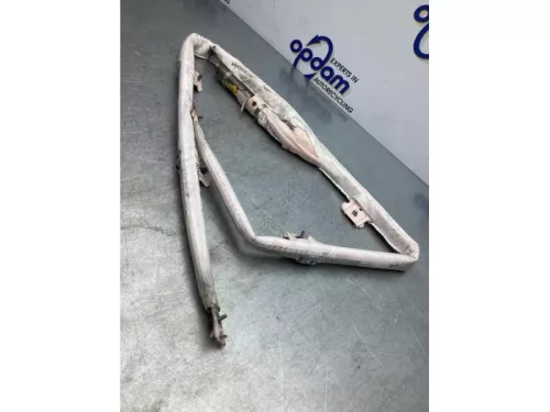 Airbag hemel links-7714012 (17218925)