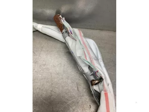 Airbag hemel links-8102745 (21532935)