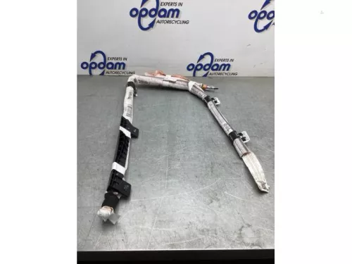 Airbag hemel links-8153606 (20744157)