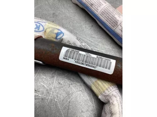 Airbag hemel links-8035501 (21403721)